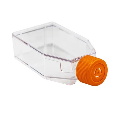 T25 rakukultuuri kolb